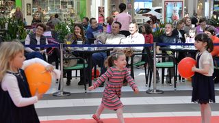 luminirodendan5853524