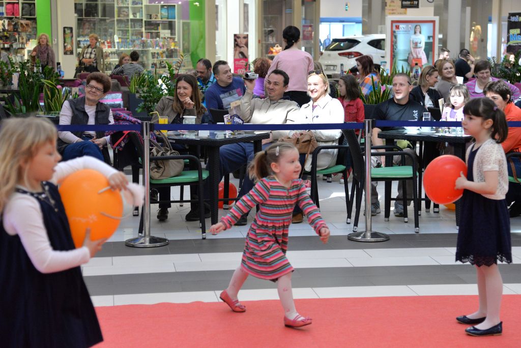 luminirodendan5853524