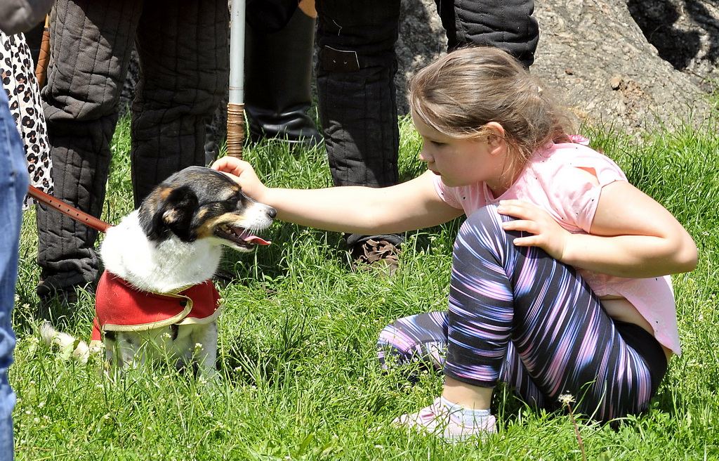 Anđeoska strijela Anđeoska strijela