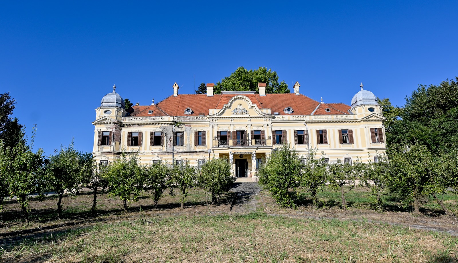 Image 5425476 (auto)