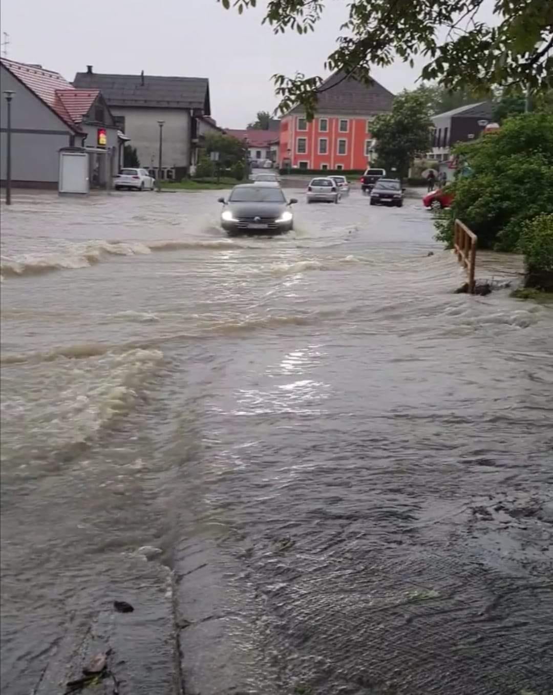 Image 5696741 (auto)