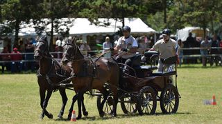 Konjičke igre u Zelendvoru