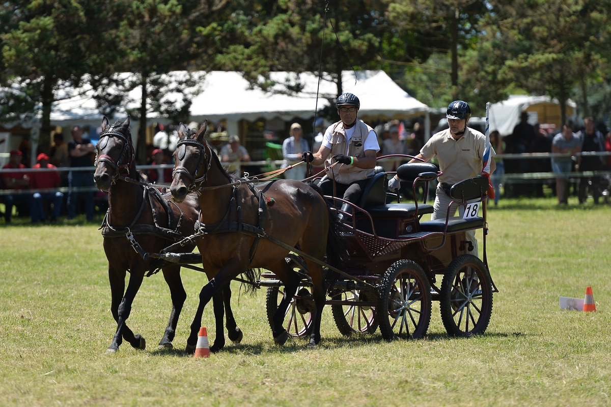 Konjičke igre u Zelendvoru