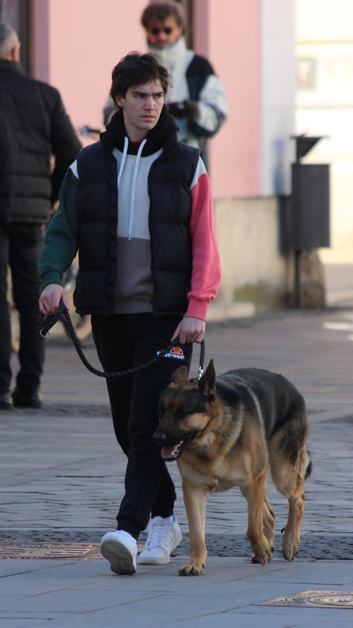 Image 5235682 (auto)