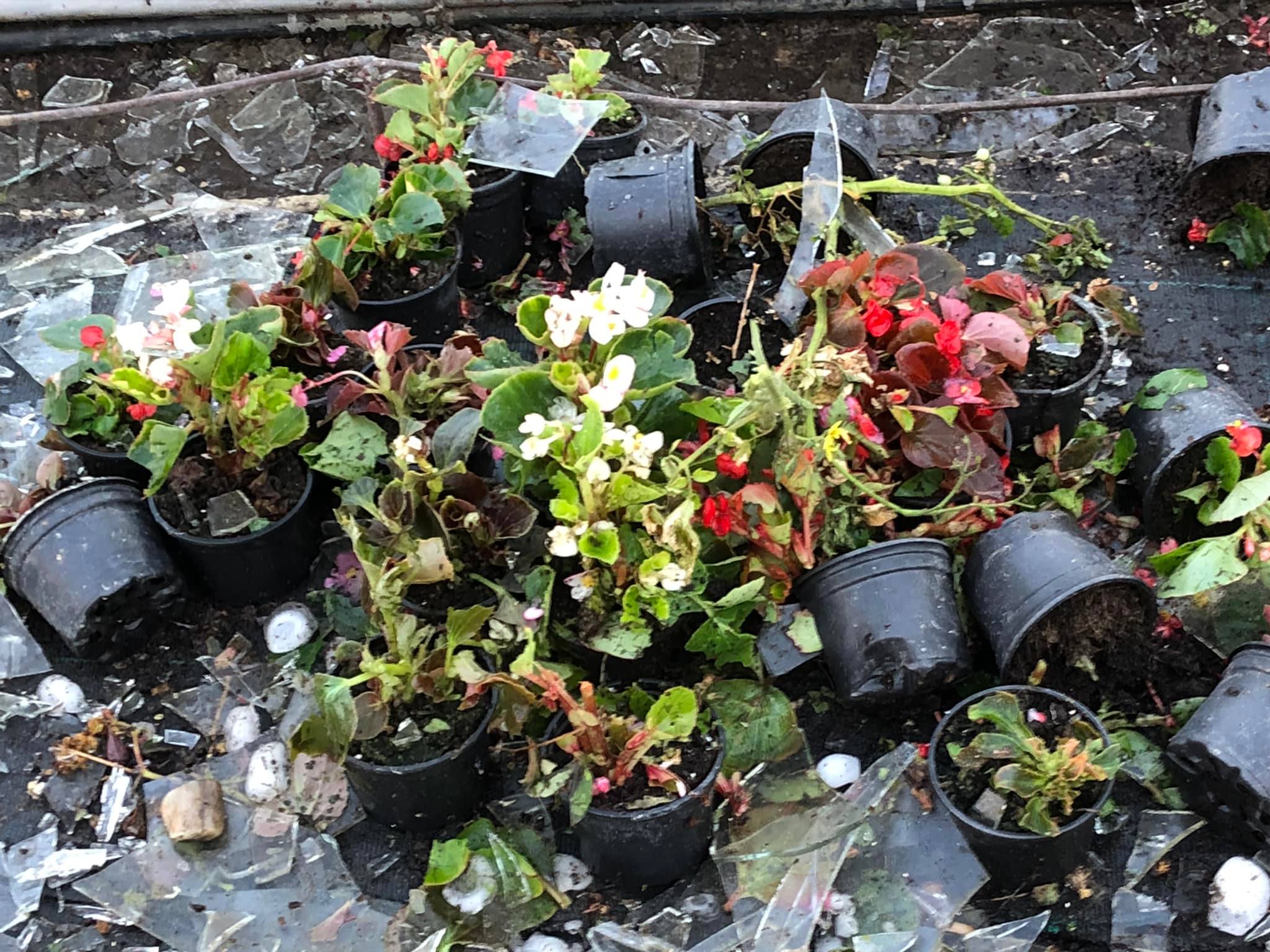 Tuča Veliki Bukovec