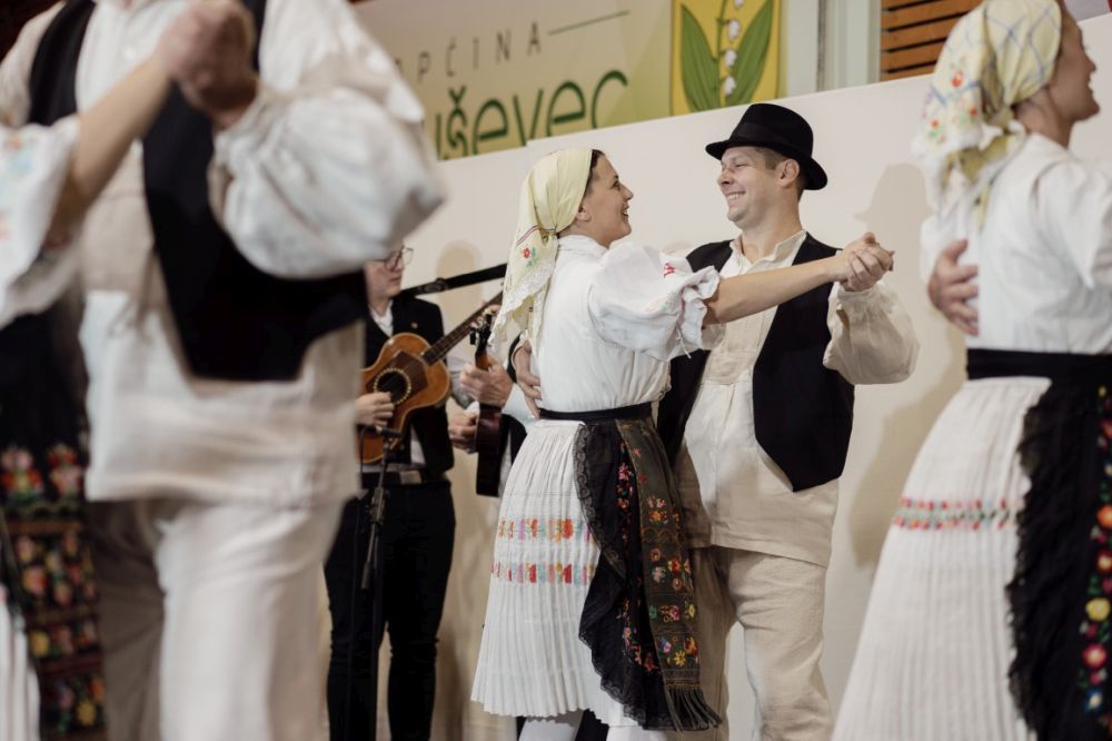 Image 5911853 (auto)