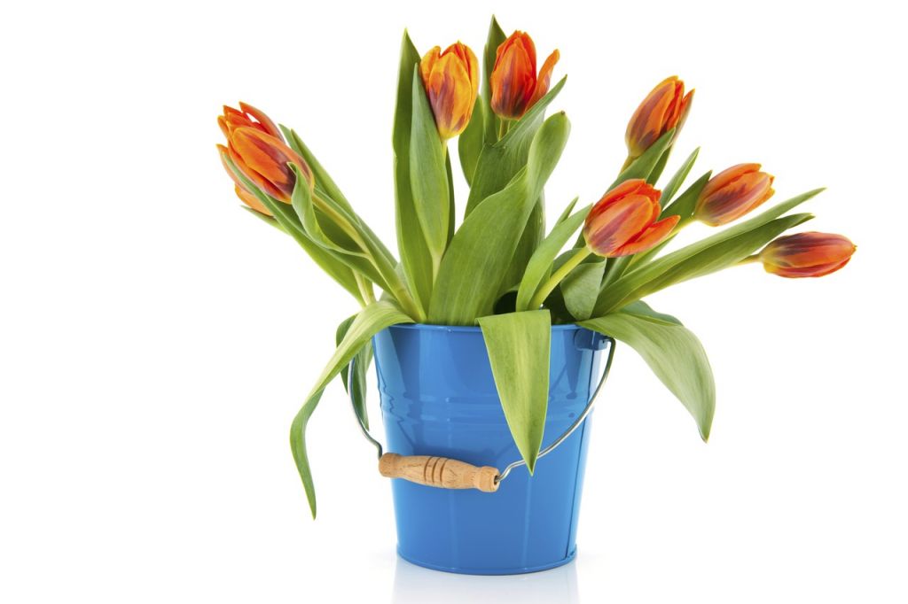 4cc382b647ca5503fc1f740f71f45a5