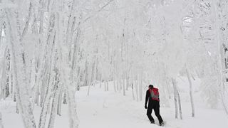 Ivanščica snijeg zima prognoza planina šuma