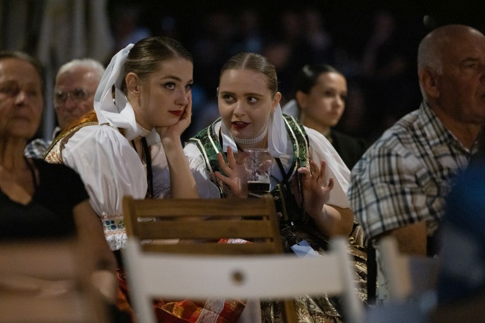 Image 5834339 (auto)