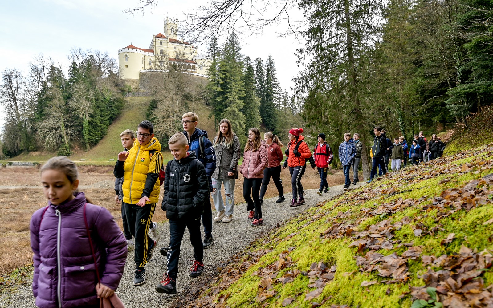 Image 5580881 (auto)