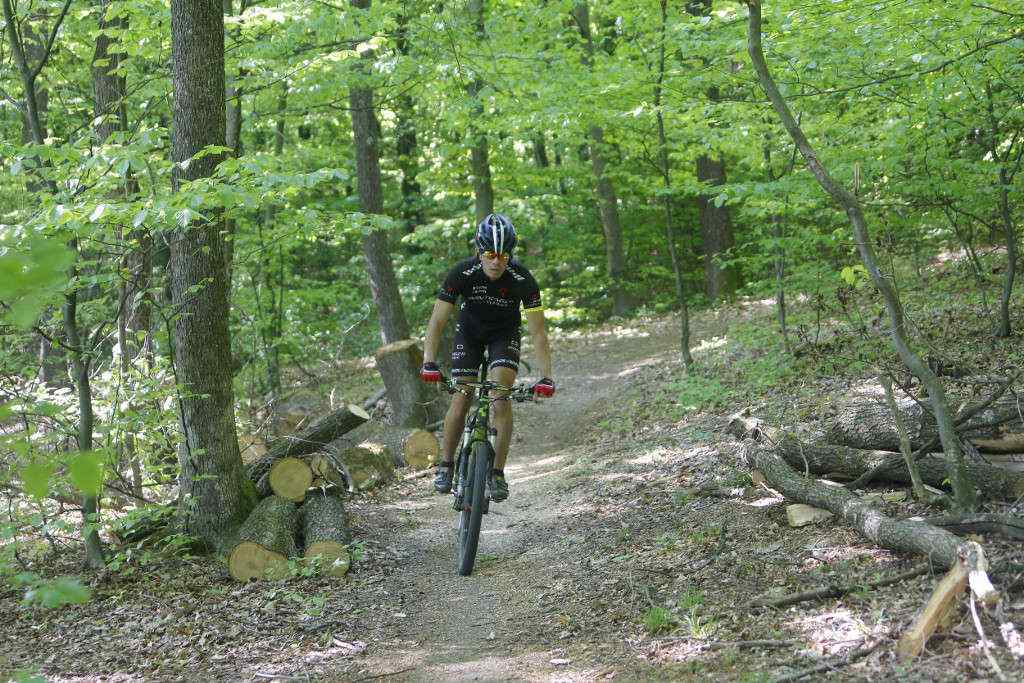 beretinecbbkasinovastaza1646374