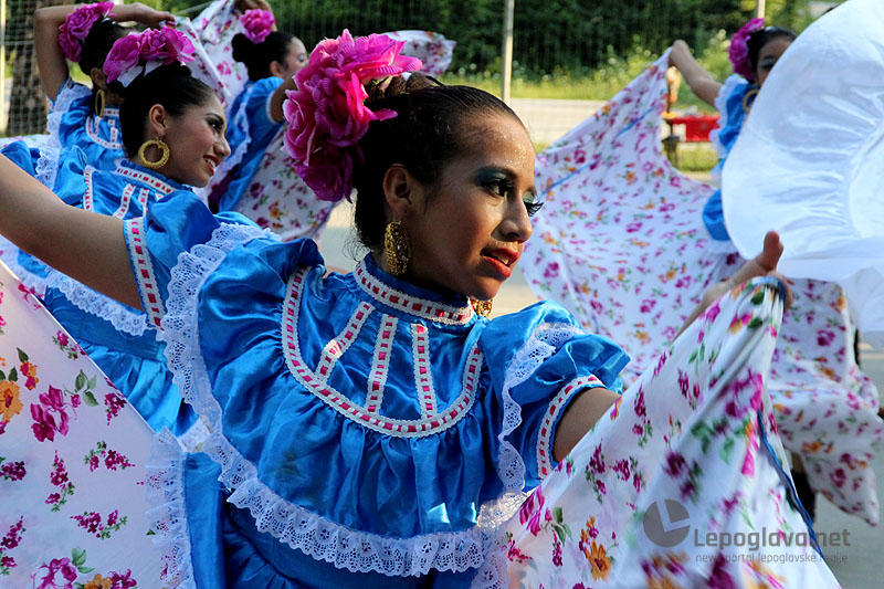 mekasikanciuvisnjici17430992