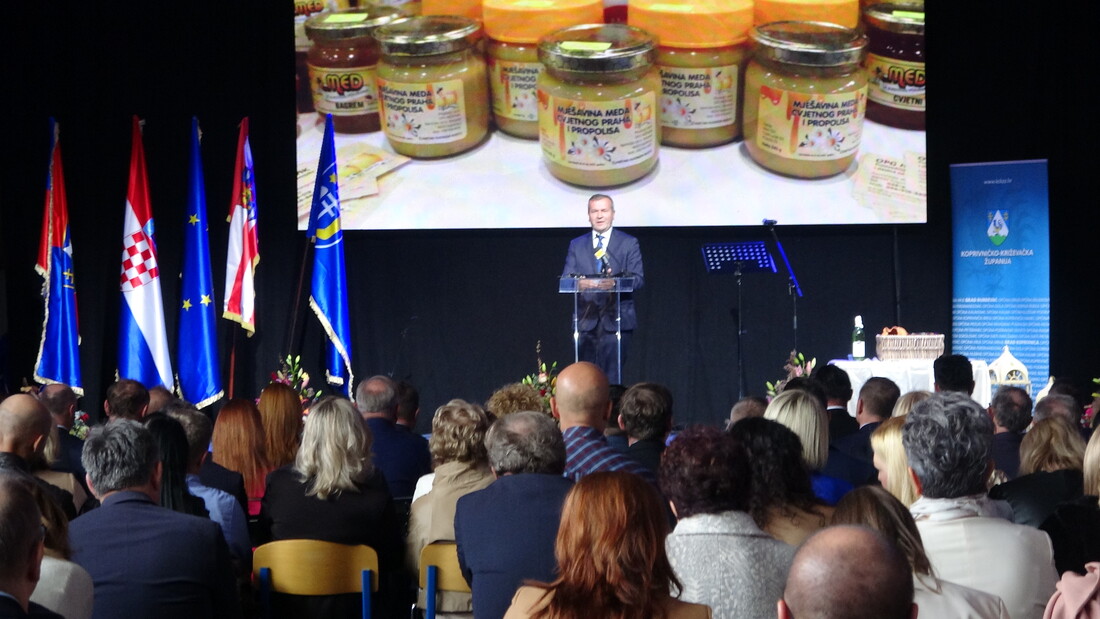 Image 5520674 (auto)