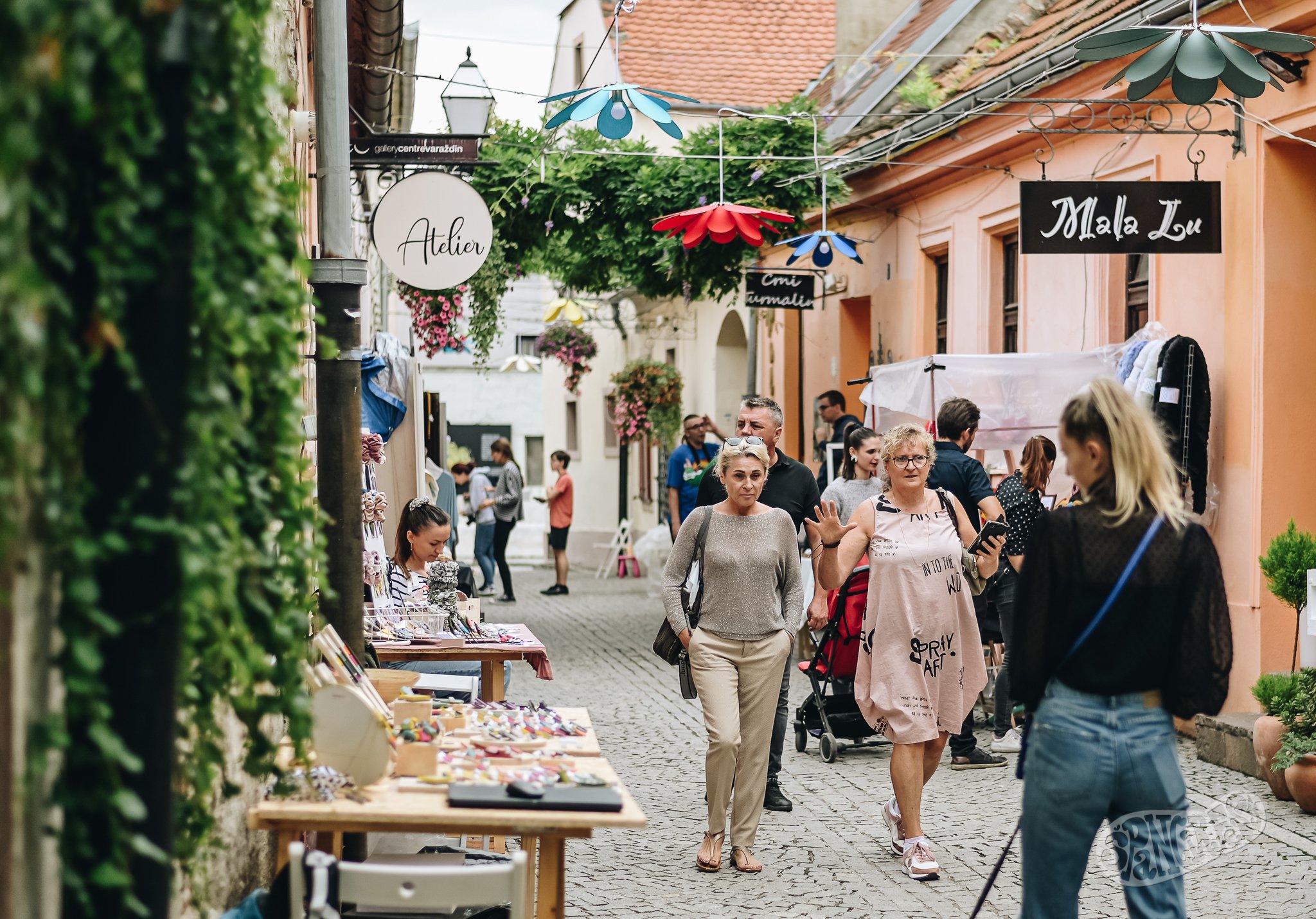 Image 5453802 (auto)