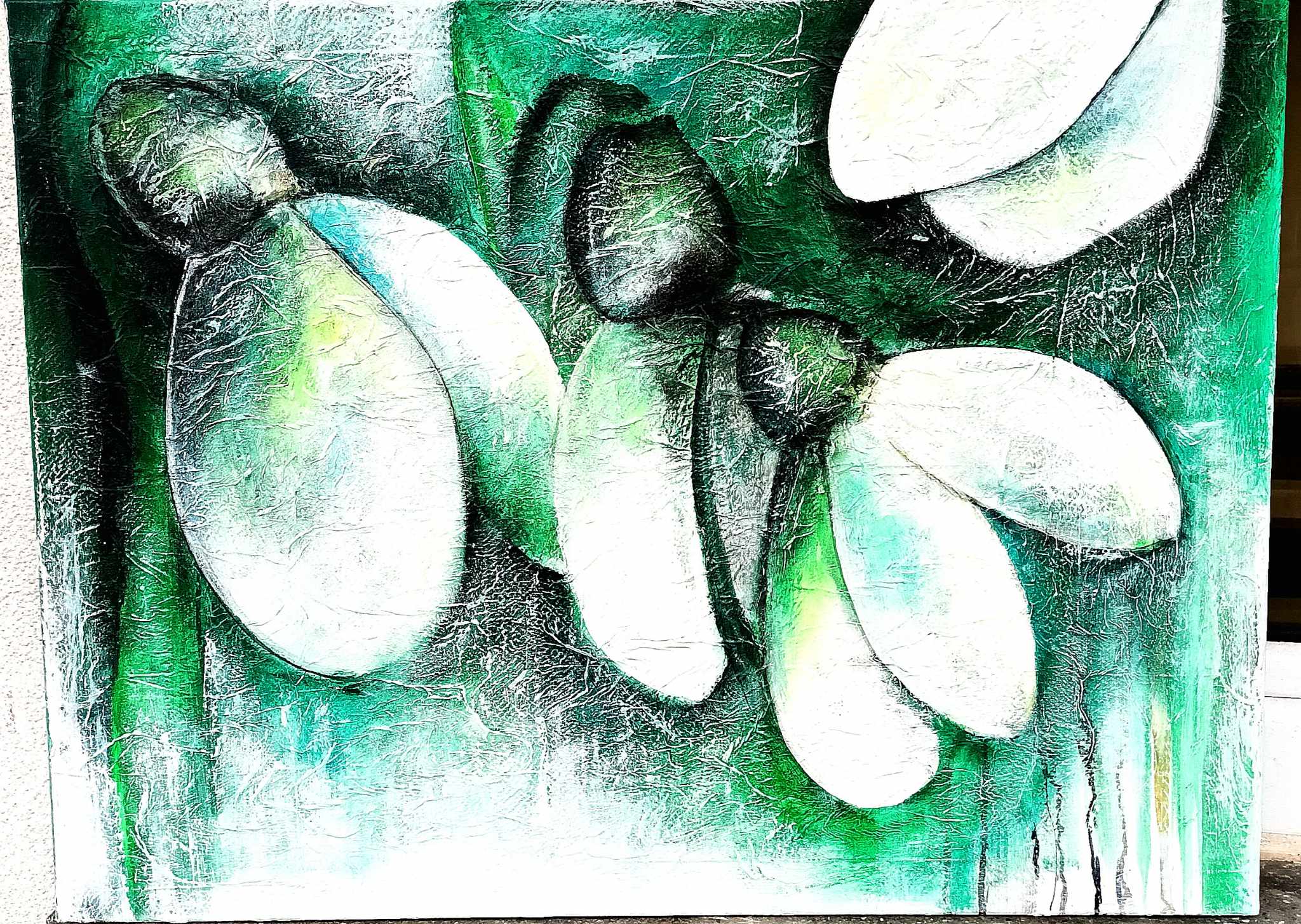 Image 5975409 (auto)