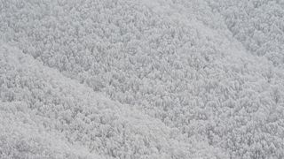 Ivanščica snijeg zima prognoza planina šuma