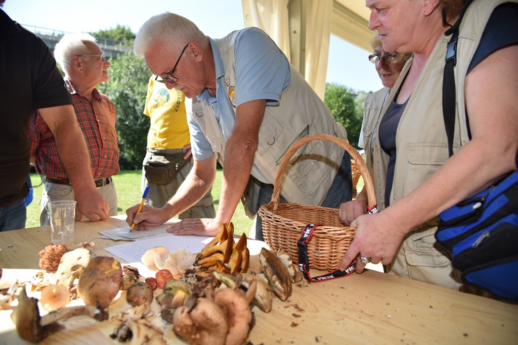 Dani vrganja u Paki 2018.