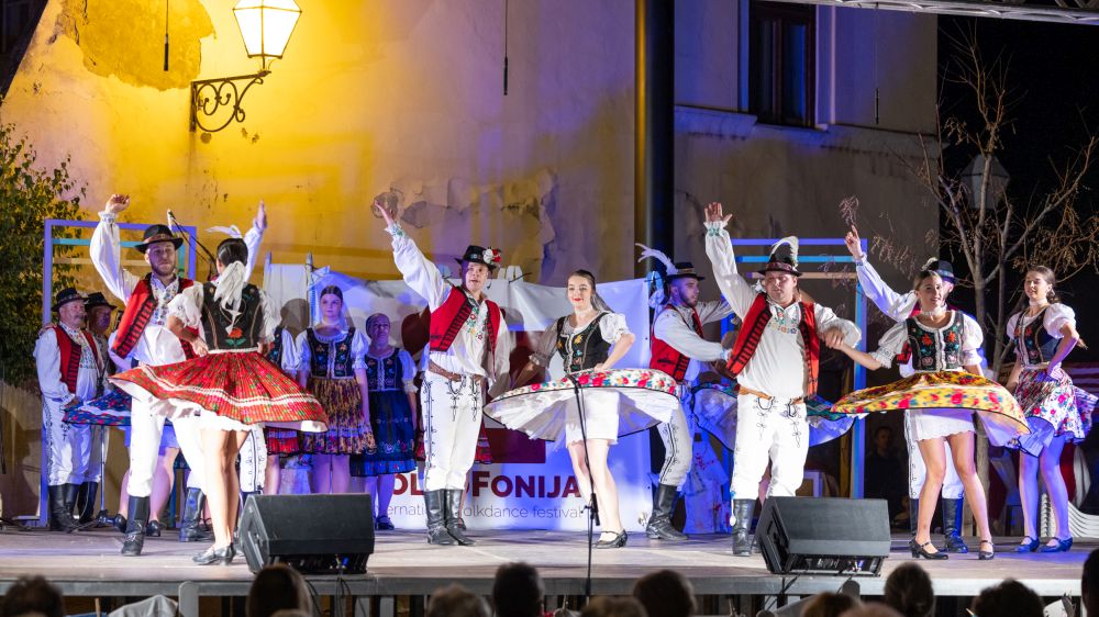 Image 5834273 (auto)