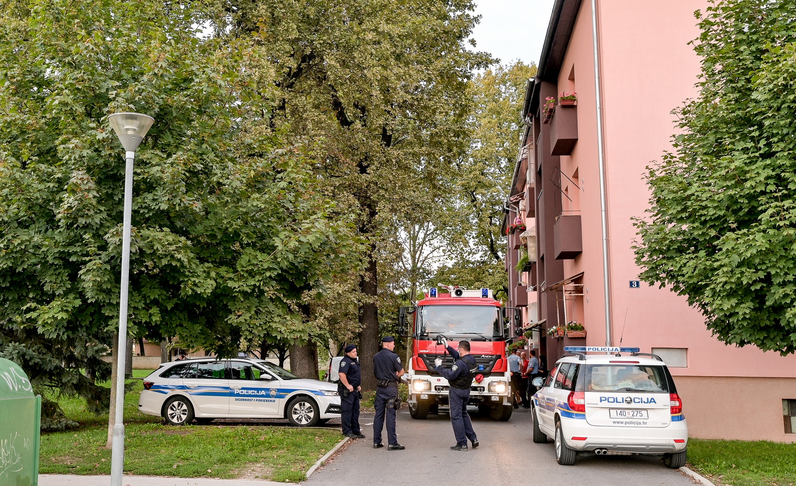 Image 5470628 (auto)