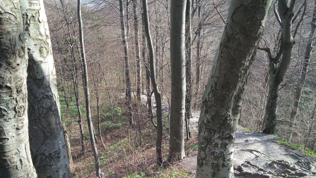 20150411090610111227