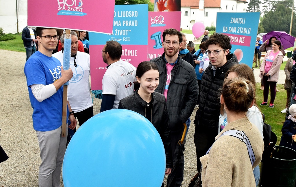 Image 5345630 (auto)