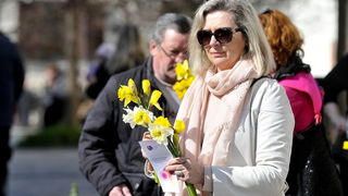 Dan narcisa Dan narcisa