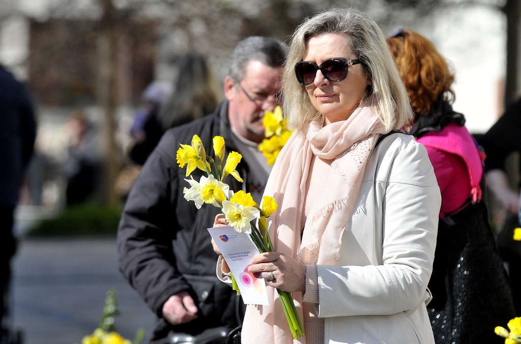 Dan narcisa Dan narcisa