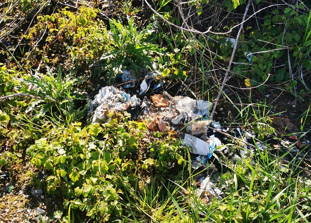 Image 5666865 (auto)