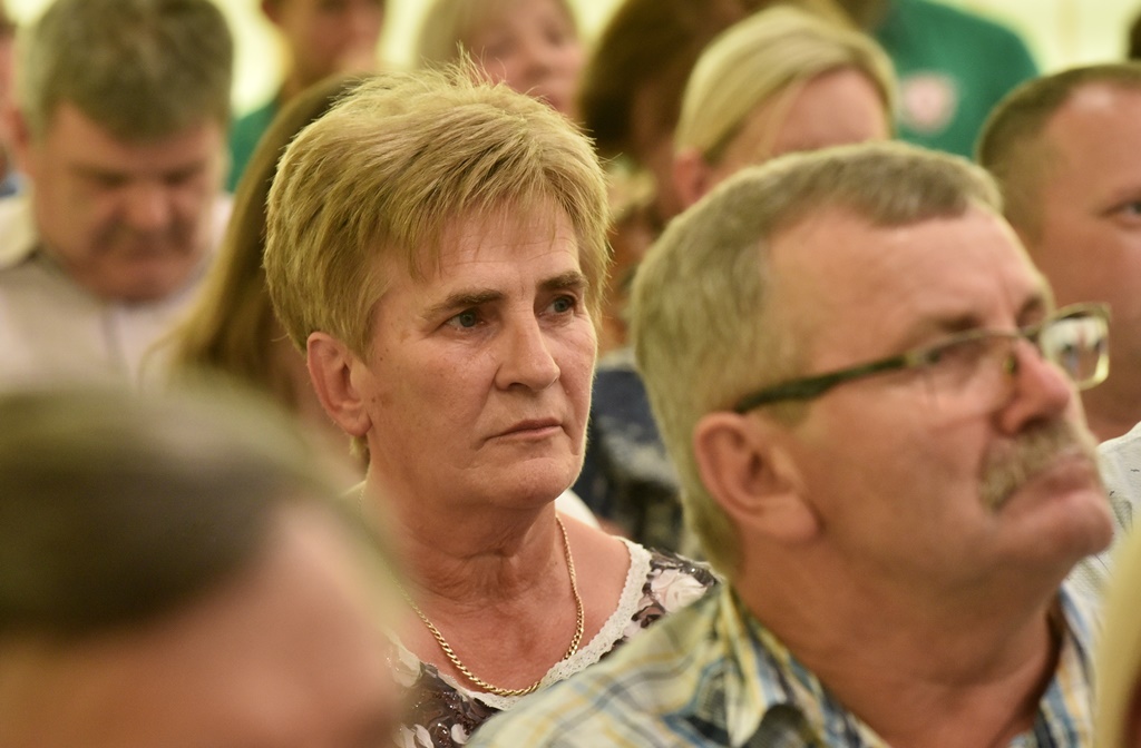 Image 5837999 (auto)