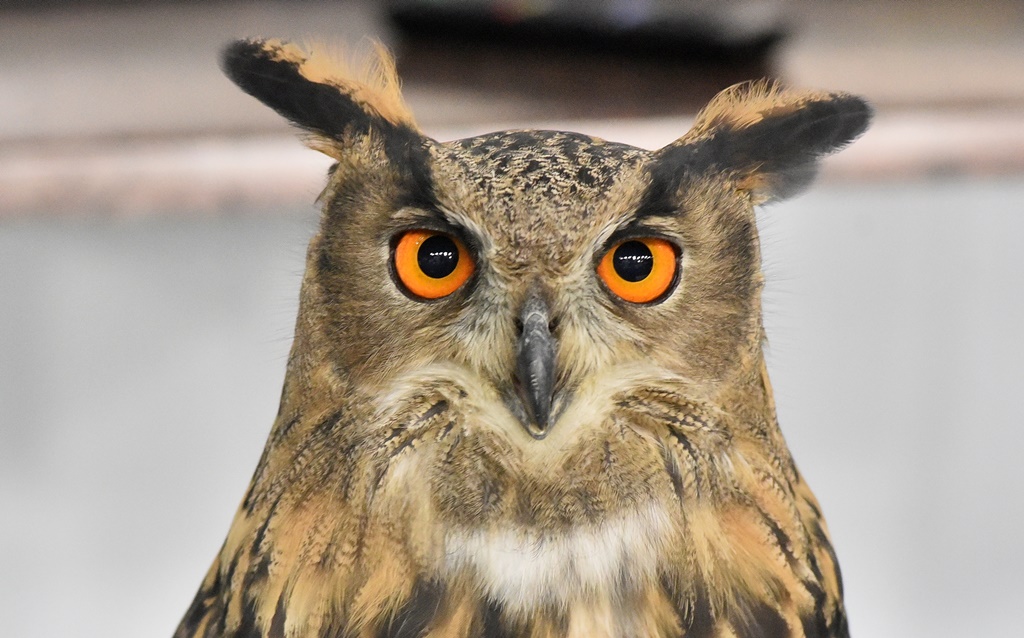 Sajam Lov ribolov priroda turizam