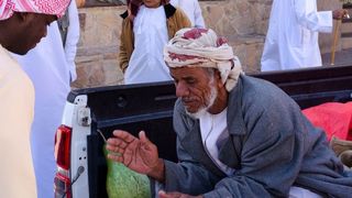 putovanjeumedjuzemljeoman000970