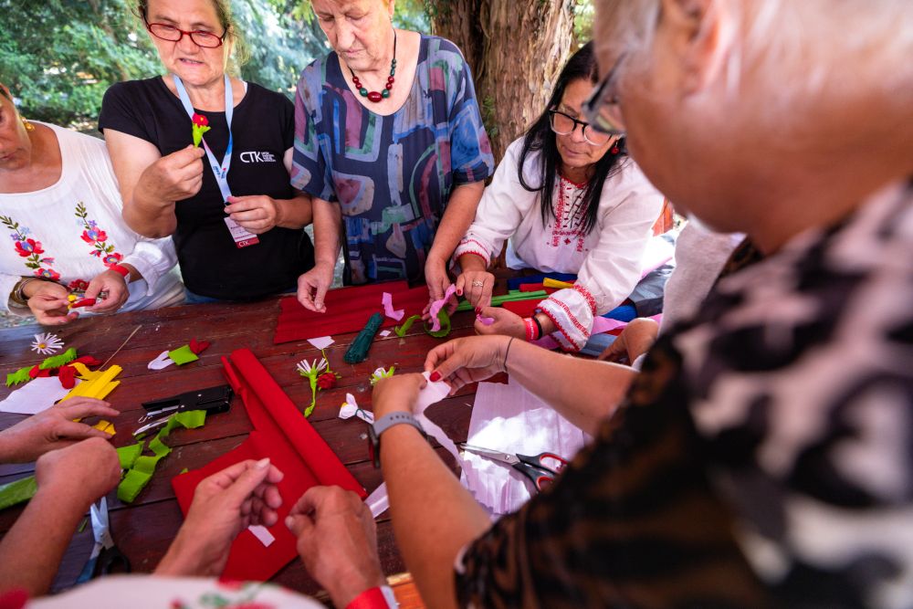 Image 5834237 (auto)