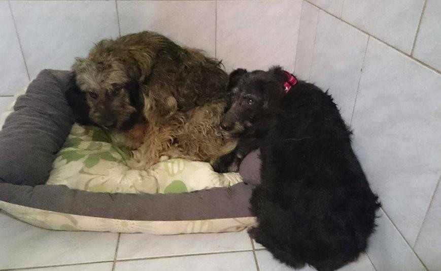 c1ebfc8821225d6a1818f8e2dda7ef7