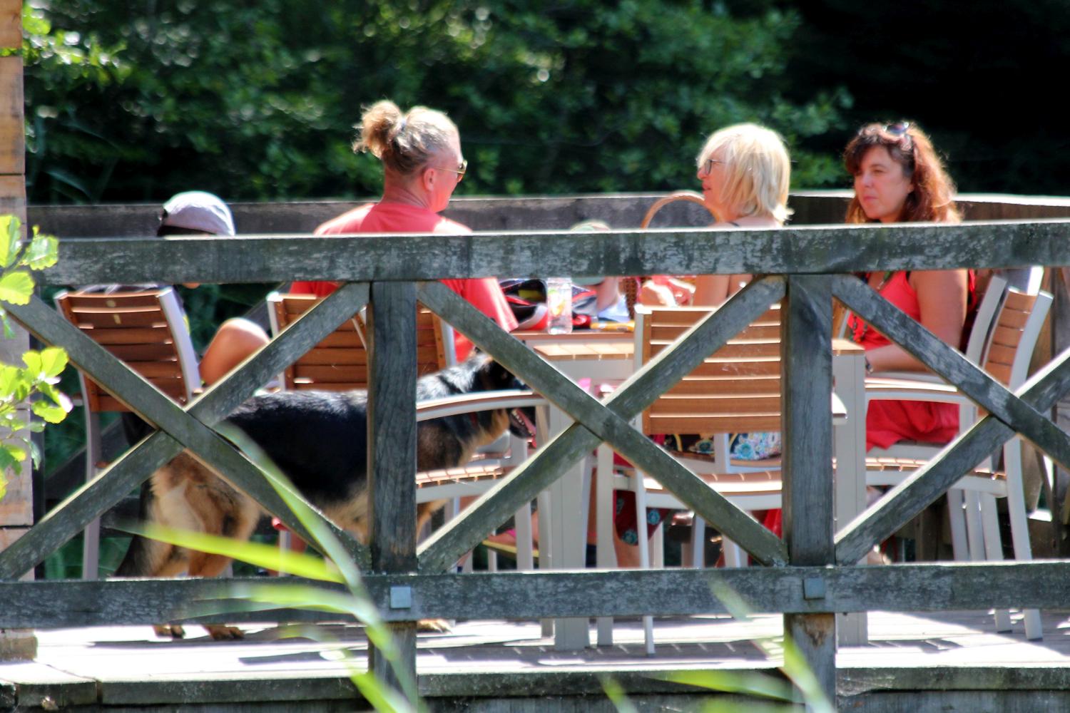 Trakošćan na Veliku Gospu Trakošćan na Veliku Gospu