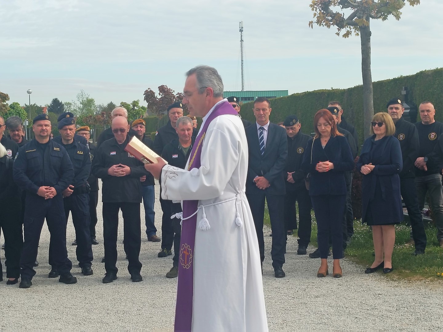 Image 5674981 (auto)