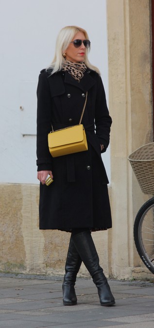 Image 5573213 (auto)