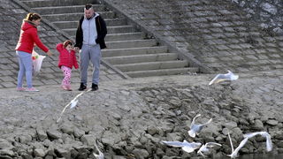 Klikom po Dravi Klikom po Dravi