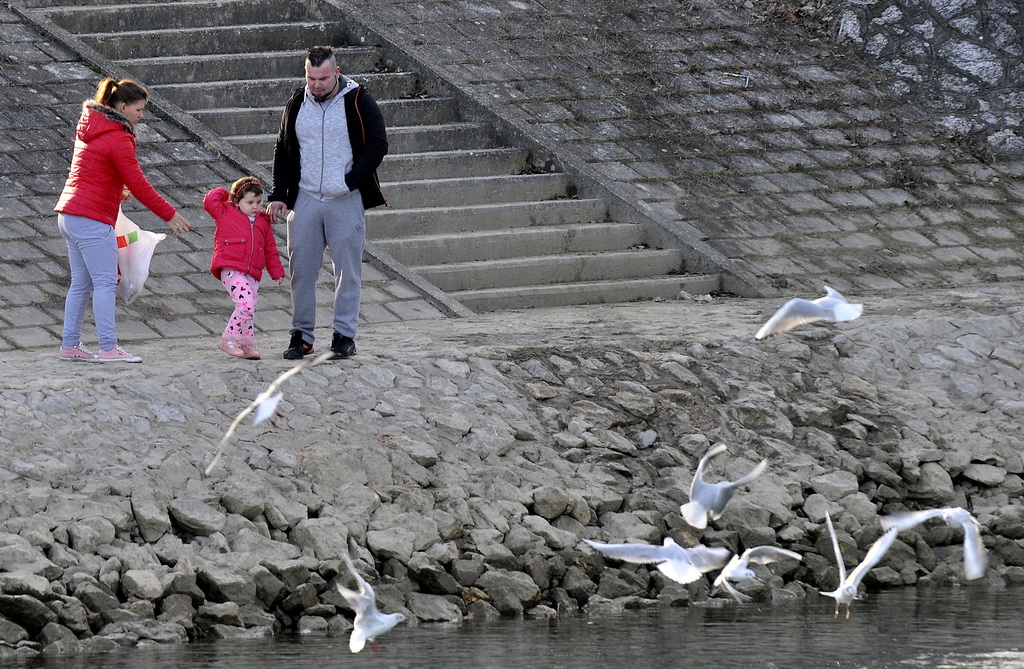 Klikom po Dravi Klikom po Dravi