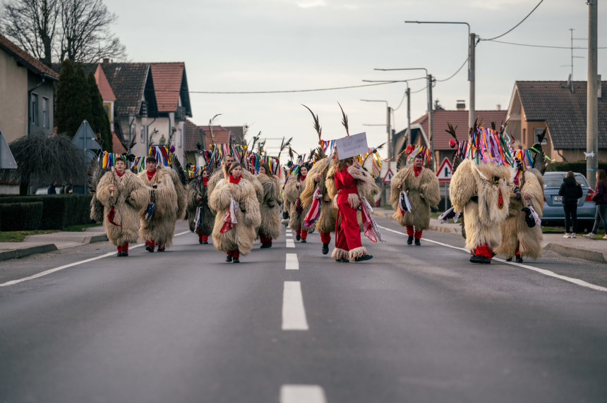 Image 5606881 (auto)