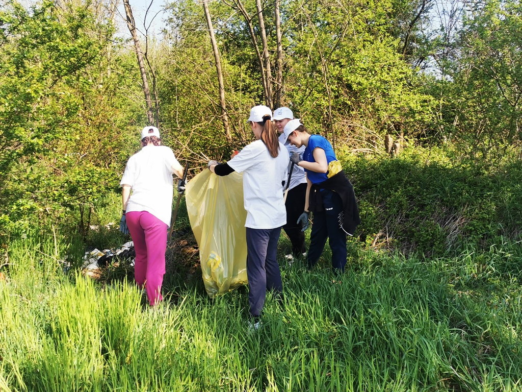 Image 5666869 (auto)