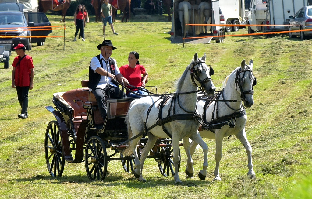 Image 5377156 (auto)