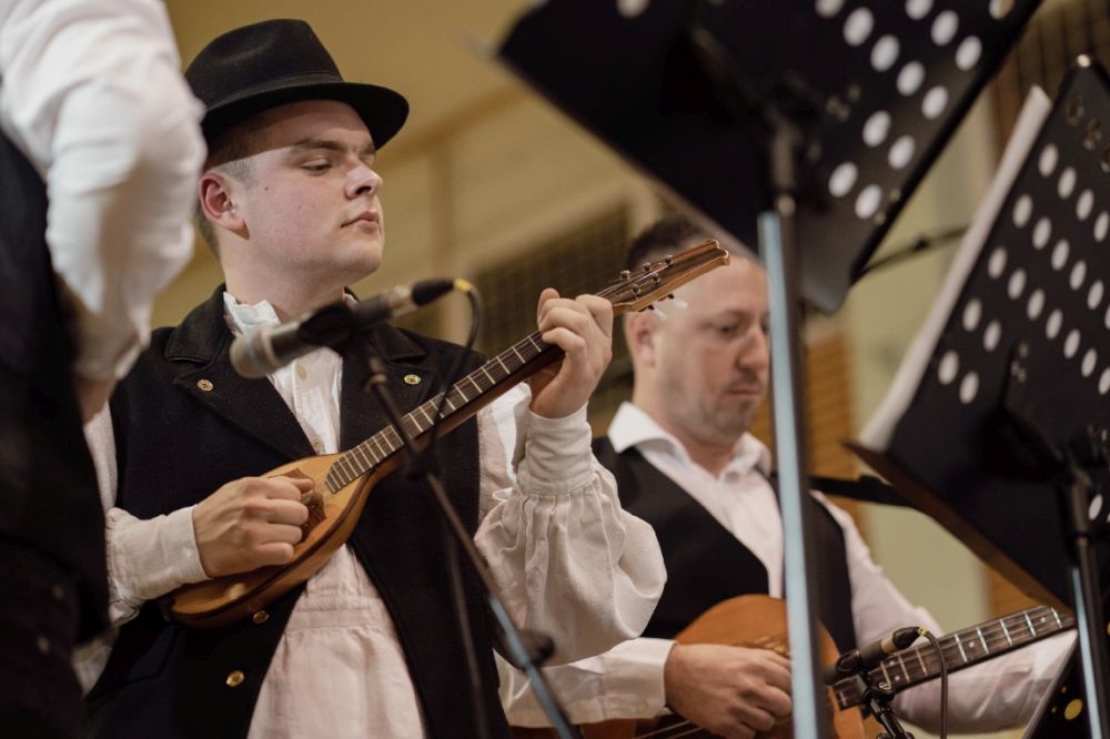 Image 5911795 (auto)