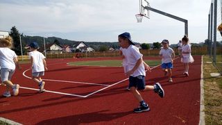 Image 5836317 (auto)