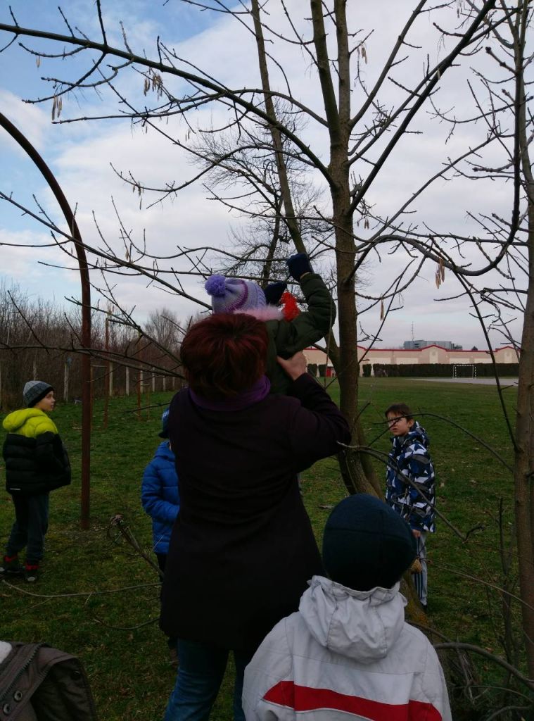 imgdea30a512013b767996ecfc9e2ae