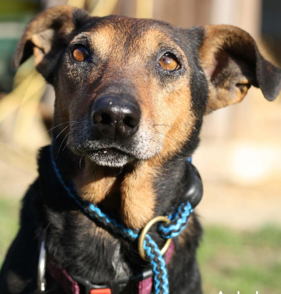 444ad8e669d6321fbbab2c06236abf4