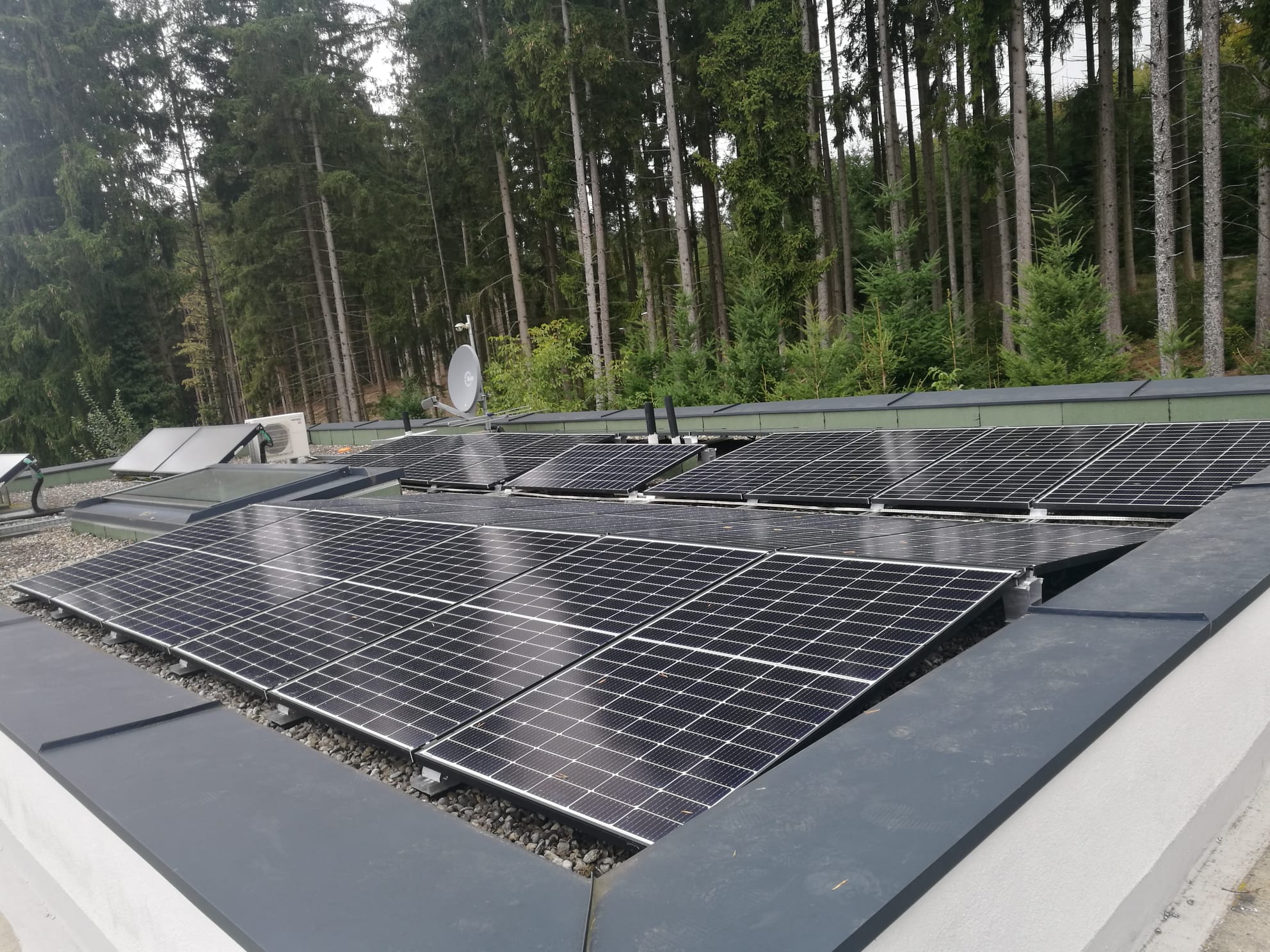 Image 5978351 (auto)