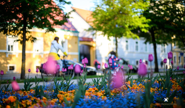 Proljeće, cvijeće, prognoza, grad Proljeće, cvijeće, prognoza, grad