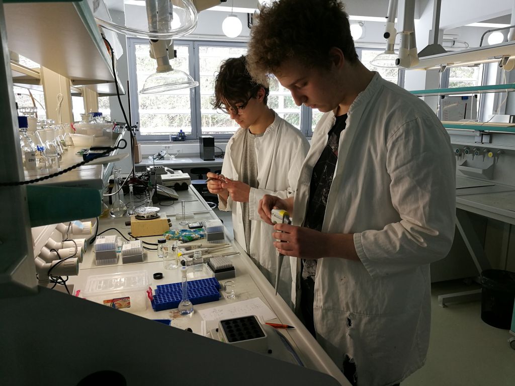 img20180413122204446551