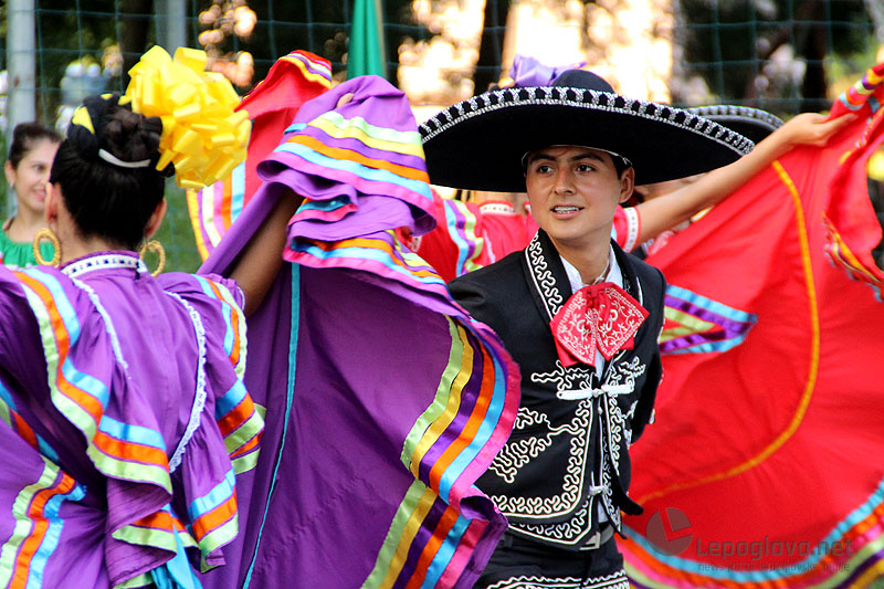 mekasikanciuvisnjici26331803