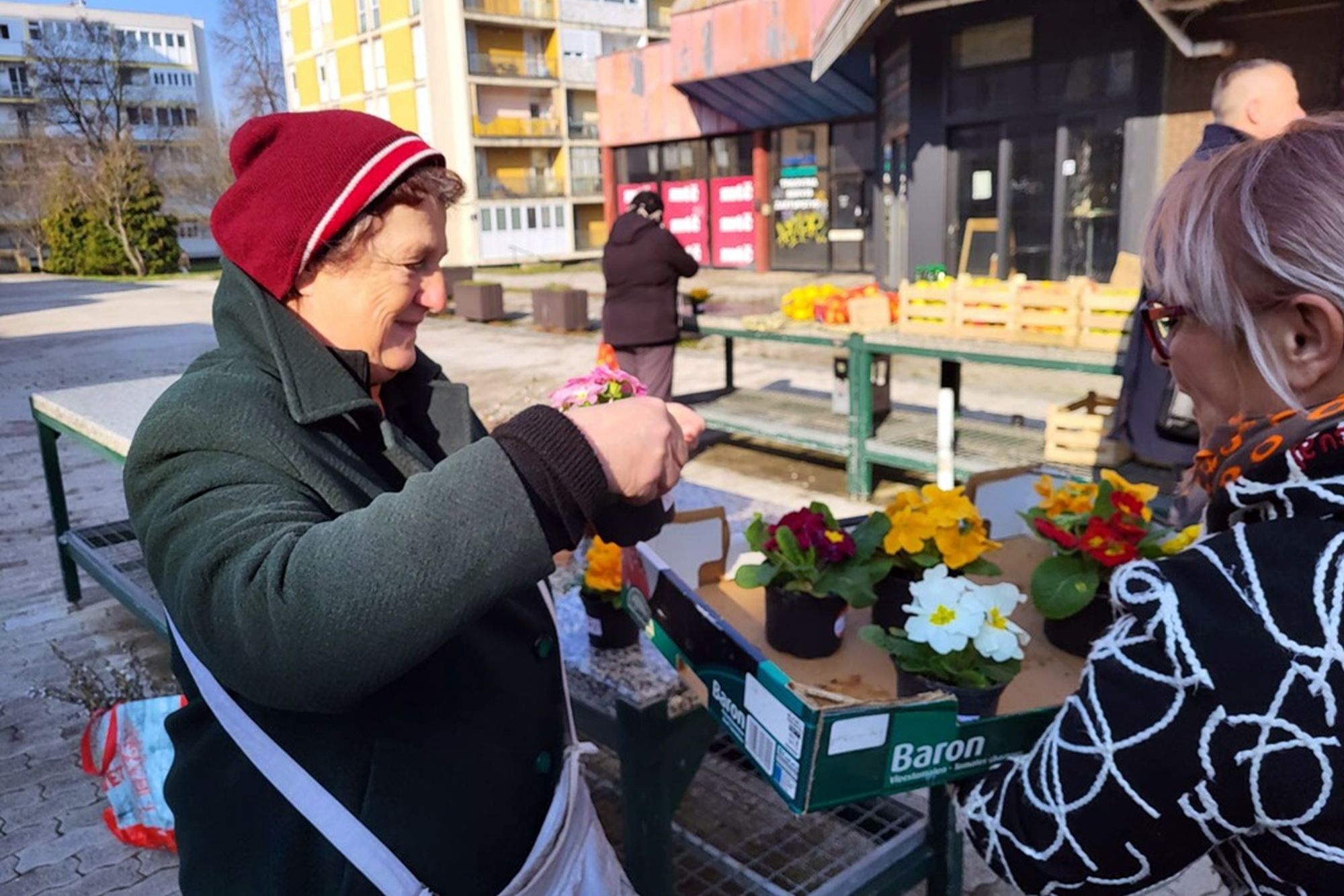 Image 5621899 (auto)